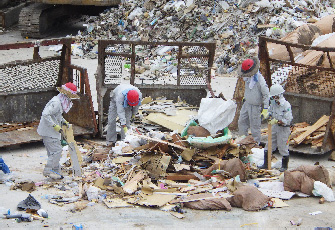 手選別の作業風景
